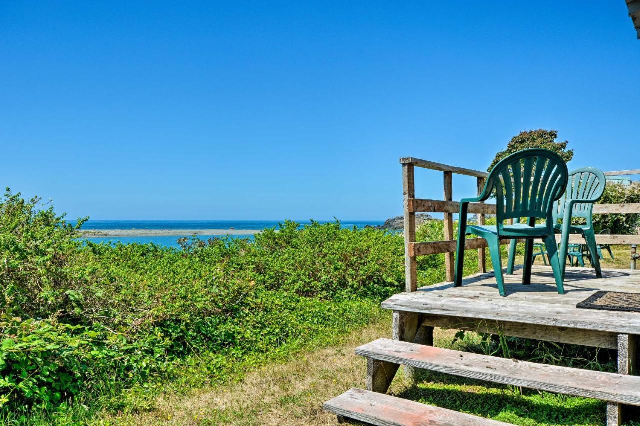Smith River Vintage Cabin Oceanfront Deck And Views Extérieur photo